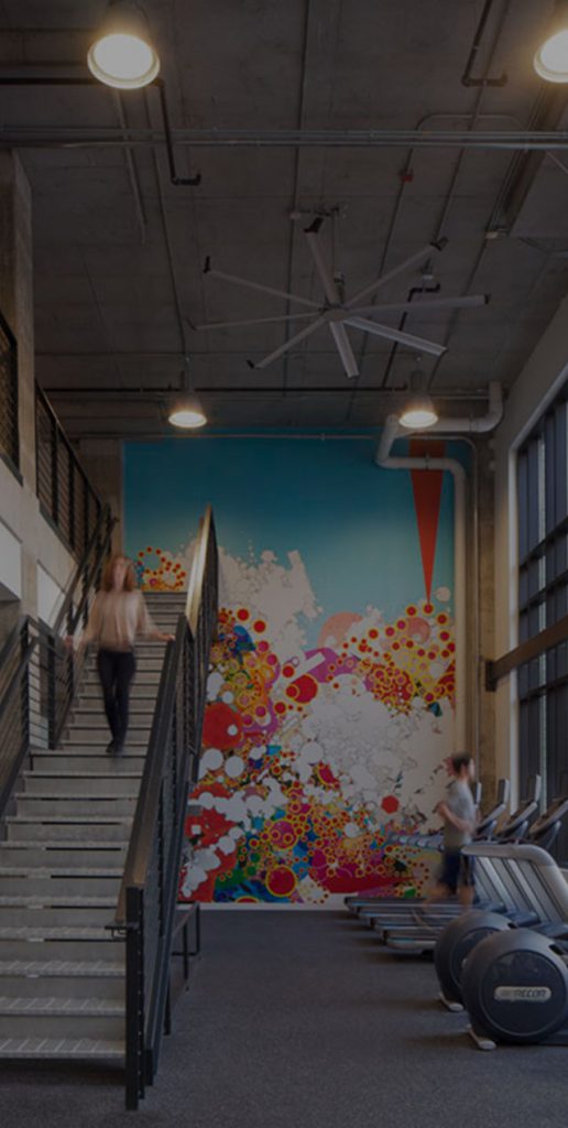 Stanhope Student Apartments NC State Off Campus Housing