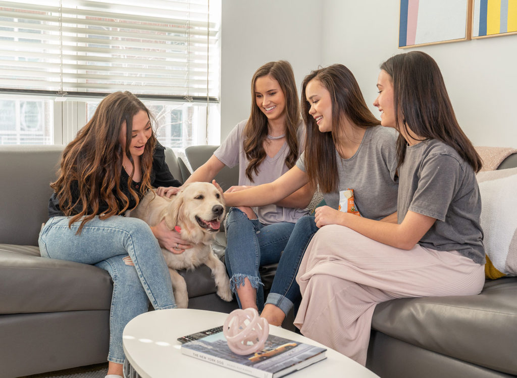 Photo Gallery Stanhope Apartments